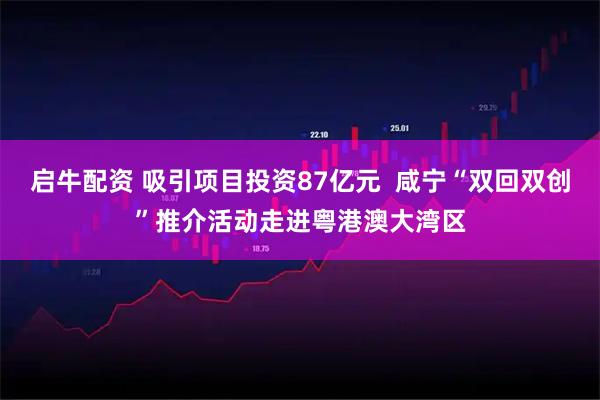 启牛配资 吸引项目投资87亿元  咸宁“双回双创”推介活动走进粤港澳大湾区